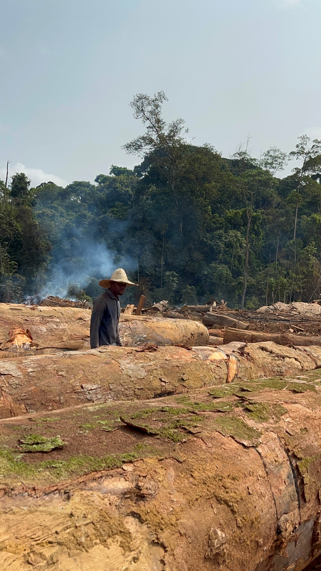 Donativo a Bosco Arts